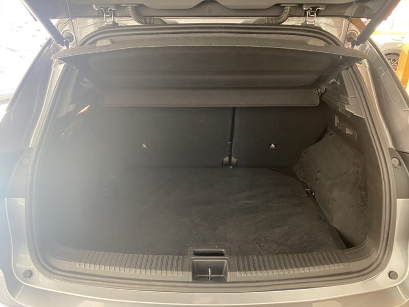 RENAULT AUSTRAL TECHNO ESPRIT ALPIN MILD HYBRID